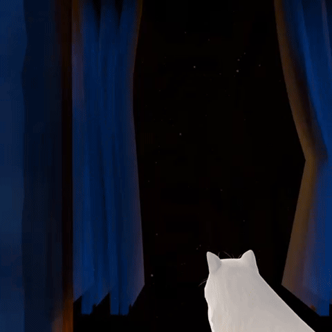 8pm And the Cat